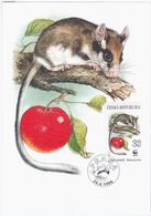 Czech Republic Ceska Republika 1996 WWF W.W.F. Garden Dormouse Eliomys Quercinus, Maximum Card, Berry Berries, Praha - FDC