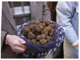 (K 4) France - Black Truffles Mushrooms - Truffes (Quercy) - Mushrooms