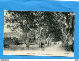 EYGUIERES-entrée Avenue D'aureille-un Cycliste 1910+20-édit Thiriat - Eyguieres