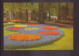 PAYS BAS KEUKENHOF LISSE HOLLAND - Lisse