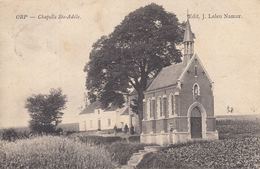 BELGIQUE. Ensemble 480 Cartes Postales, époques Diverse - Andere & Zonder Classificatie