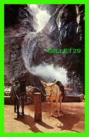 COLORADO SPRINGS, CO - FAMOUS SEVEN FALLS IN SOUTH CHEYENNE CANON - A. & S SALES CO - ANIMATED WITH HORSES - - Colorado Springs