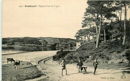 Rothéneuf * Plage Et Bois Du Lupin * Enfants - Rotheneuf