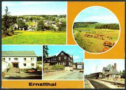 D9345 - Ernstthal Bahnhof HO Gaststätte Rennsteig - Bild Und Heimat Reichenbach - Neuhaus