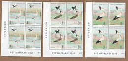 AC - TURKEY STAMP -  STORKS MNH BLOCK OF FOUR 20 AUGUST 2020 - Used Stamps