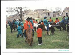 SAINT-HERBLAIN - Quartier Du TILLAY - Animation Des Enfants Sur Des Poneys - Parc De La Bégraisière - VENTE DIRECTE X - Saint Herblain