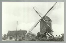 ***  MEERHOUT - ZITTAART  ***  -  Zittaartse Molen - Meerhout