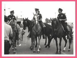 Photo De Presse - F1 - Policiers à Cheval - Chevaux - HUTCHINSON SHERIF VERSOIX - 20,2 X 15,2 Cm Environ - Autosport - F1