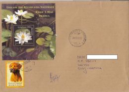 8037FM- DOG, WATER LILY SHEET, STAMPS ON REGISTERED COVER, 2020, ROMANIA - Brieven En Documenten