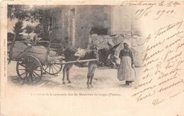 ¤¤   -   LE LANGON  -  Les Débuts De La Carrosserie Chez Les Maraichins  -  Attelage D'Ane En 1901  -  ¤¤ - Other & Unclassified