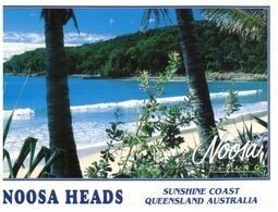 (K 15) Australia - QLD - Noosa Heads (with Stamp) - Sunshine Coast