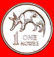 · GREAT BRITAIN (1968-1978): ZAMBIA ★ 1 NGWEE 1968 ANTEATER! LOW START ★ NO RESERVE! - Zambie