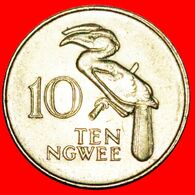 · GREAT BRITAIN: ZAMBIA ★ 10 NGWEE 1987 BIRD! LOW START ★ NO RESERVE! - Zambie