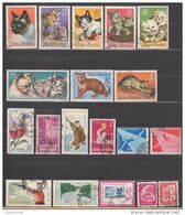 Lot De 19 Timbres Oblitérés  De ROUMANIE Années 60  (T16)  Chat - Sonstige & Ohne Zuordnung