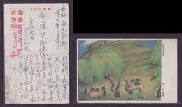 JAPAN WWII Military Huailai Camel Picture Postcard North China WW2 MANCHURIA CHINE MANDCHOUKOUO JAPON GIAPPONE - 1941-45 Northern China