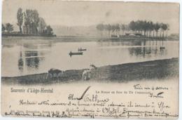 Herstal - Souvenir D'Liège-Herstal - La Meuse En Face Du Tir Communal - Ed. Nels Serie 34 No 31 - Herstal