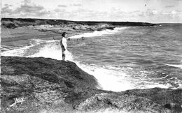 A-20-1821 : LA SAUZAIE PRES BRETIGNOLLES SUR MER - Bretignolles Sur Mer