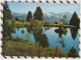 4AG1131 AUF DEM GÄBRIS OB GAIS BLICK ZUM ALPSTEIN 2  SCANS - Gais