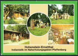 D9419 - Hohenstein Ernstthal Indianer Indianistik Pfaffenberg - Bild Und Heimat Reichenbach - Hohenstein-Ernstthal