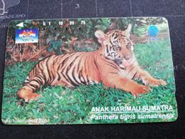 INDONESIA MAGNETIC/TAMURA 75 UNITS  TIGRE  PANTERAS TIGRIS        Fine Used Card   **3030 ** - Indonésie