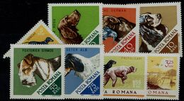 ROMANIA 1965 DOGS MI No 2470-7 MNH VF!! - Neufs