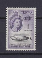TRISTAN DA CUNHA 1961, SG# 54, CV £50, Part Set, Fish, MH - Tristan Da Cunha