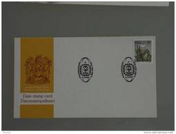 Zuid Afrika South Africa Afrique Du Sud RSA 1982 Inauguration Ellispark Datumstempelkaart Date-stamp Card Carte Cachet - Covers & Documents