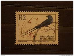 Zuid Afrika South Africa Afrique Du Sud RSA 1993 Oiseaux Birds Hirundo Atrocaerulea Yv 822 Sc 865 O - Golondrinas