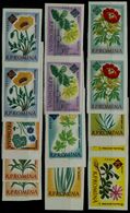 ROMANIA 1961 FLOWERS SET OF PAIR IMPERF MI No 2020-28B MNH VF!! - Unused Stamps