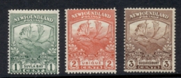 Newfoundland 1919 1,2,3c Caribou MLH - Sonstige & Ohne Zuordnung
