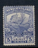 Newfoundland 1919 5c Caribou FU - Other & Unclassified