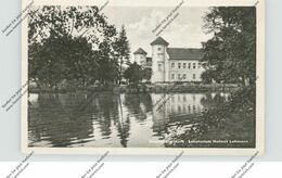 0-1944 RHEINSBERG, Sanatorium Helmut Lehmann, 1954 - Rheinsberg