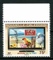 Calédonie 2011  N° 1122 ** Neuf MNH Superbe Oiseaux Birds Fleurs Flowers Arrivée De La TNT - Unused Stamps