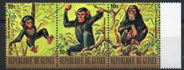 GUINEA/1977/MNH/SC#C140/ AFRICA ANIMALS / CHIMPAZEE / NATURE /STRIP OF 3 - Scimpanzé