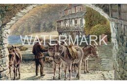 CLOVELLY DONKEYS OLD ART COLOUR POSTCARD SALMON 2950 ARTIST SIGNED A.R. QUINTON A.R.Q. - Quinton, AR