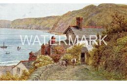 CLOVELLY BAY OLD ART COLOUR POSTCARD SALMON 2365 ARTIST SIGNED A.R. QUINTON A.R.Q. - Quinton, AR