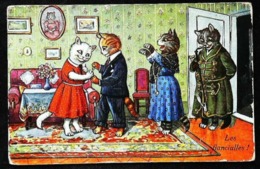 Cpa CHAT Habillé Humanisé - Fiançailles  (Dressed Cat / Engagement Vintage Pipe) -  Non Signée - Chats