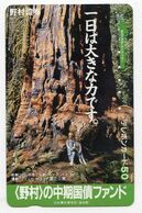 TELECARTE JAPON SEQUOIA GEANT Endémique Des Montagnes De La Sierra Nevada En Californie, - Landschaften