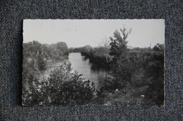 SORGUES - Bord De L'OUVEZE - Sorgues