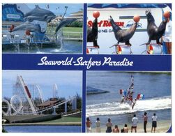 (K 26) Australia - QLD - Seaworld Shows (C1086) - Gold Coast