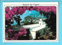 ITALIE----SALUTI Da CAPRI----scorio Panaramico---voir 2 Scans - Carpi