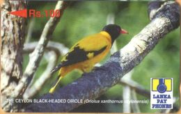 Sri Lanka (Ceylon) - SRL-21C (Ø), GPT, 21SRLC (Ø), Black-Headed Oriole, Birds, Rs.100, Used - Sri Lanka (Ceilán)