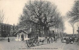 LE VIEUX CHÊNE DE ST-VINCENT-DE-PAUL- EN HIVER- (PARIS ) - Bäume