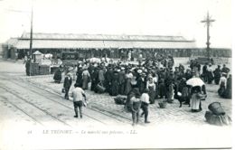 N°2878 R -cpa Le Tréport -le Marché Aux Poissons- - Marchés