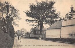 27-EVREUX-LA- MADELEINE- CEDRE DU LIBAN, PLANTE EN 1794, PAR M BEAUCANTIN - Trees