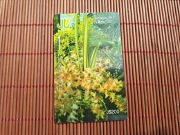 Jamaica Phonecard  200 $ Control Number 13 JAME  Used Rare - Giamaica