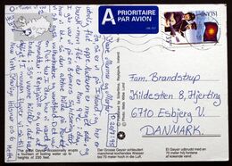 Iceland1995 Cards To Denmark  Minr.818  ( Lot 286) - Lettres & Documents