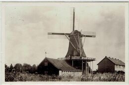 KOOG A/d ZAAN - Molen - Moulin - Het Pink - Zaanstreek