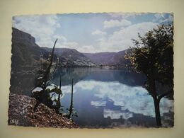 2694  Carte Postale  NANTUA   UN COIN DU LAC       01 Ain - Nantua