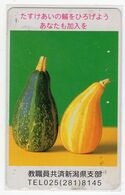 TELECARTE JAPON COURGETTE - Levensmiddelen